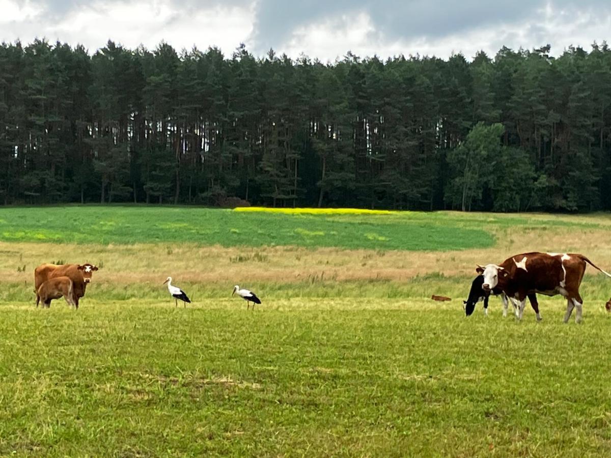 Hotel Mazury Glamping Kruklanki Polana Zyczen Zewnętrze zdjęcie