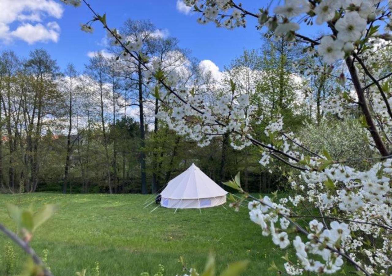 Hotel Mazury Glamping Kruklanki Polana Zyczen Zewnętrze zdjęcie