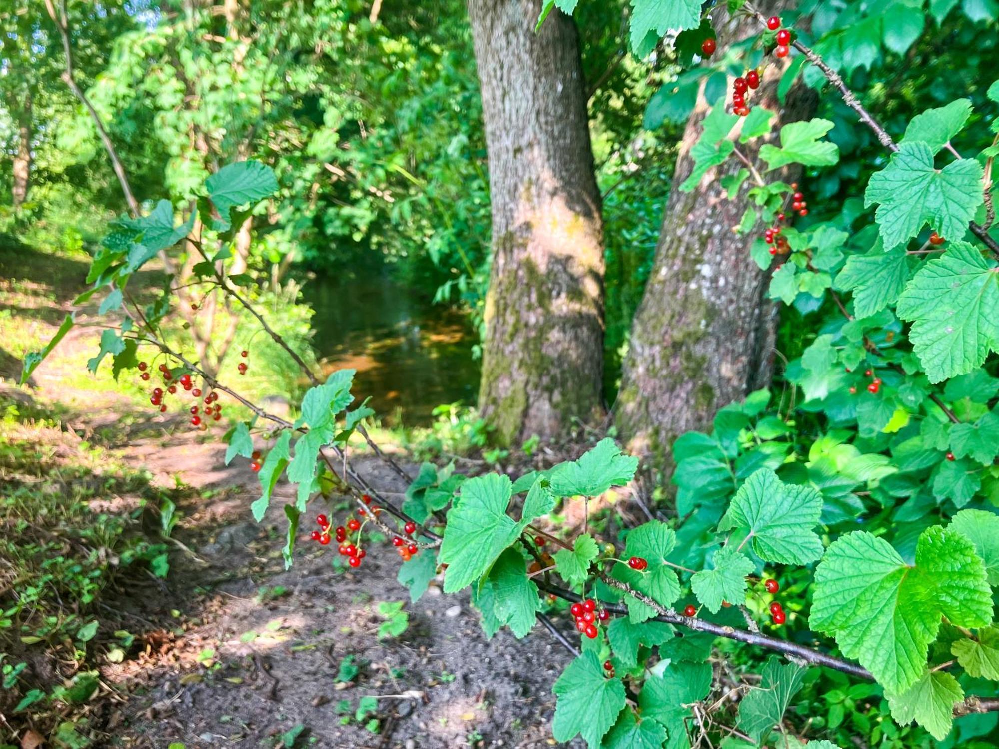 Hotel Mazury Glamping Kruklanki Polana Zyczen Zewnętrze zdjęcie